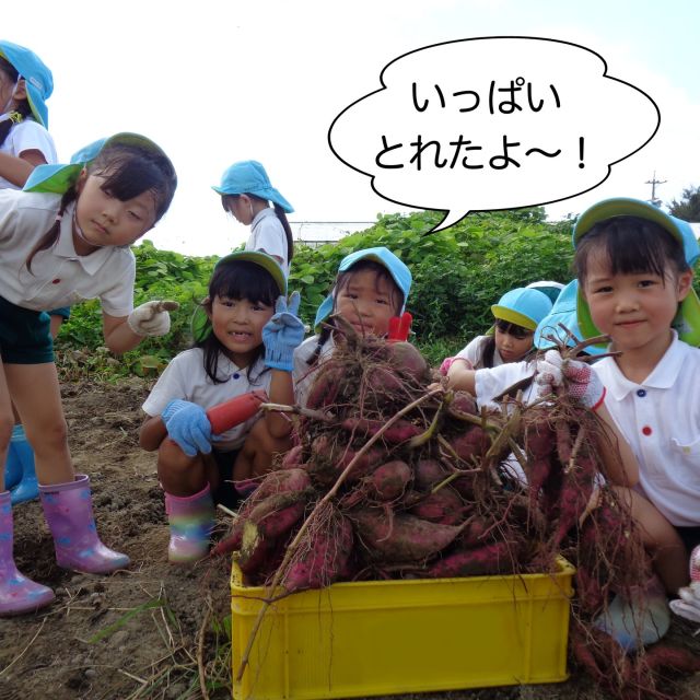 4.青葉幼稚園 | 浜松私立幼稚園協会