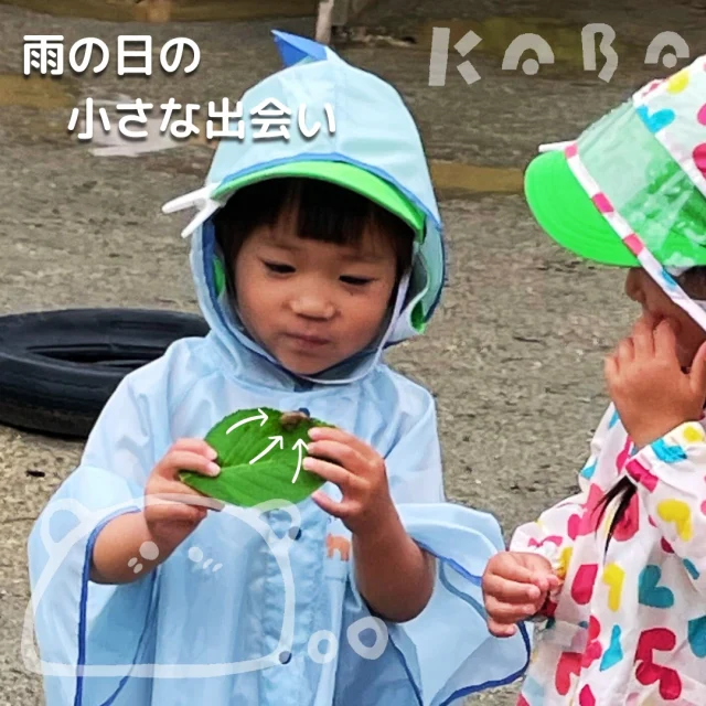 蒲幼稚園です。

雨の日＝お部屋遊び、なんてもったいない☔
いつもは「いい天気」の日に遊びに行く園庭ですが、実は雨の日だって遊びに行けるんです。

カッパを着て、裸足になって、いざ園庭へ！

水たまりに足を入れてみたら…
冷たい？ 深い？ つながるかな？
ジャンプして、バシャーン！音も形も面白い♪
雨のしずくを集めてみたり、
雨の音に耳をすませたり、
カタツムリに出会って歌っちゃったり🐌🎵

同じ園庭でも、雨の日の園庭は、いつもと違った一面を見せ、子ども達も一味違う経験ができます。

「いつもとちがう」が、子どもたちの心を動かす。

雨の園庭は発見とワクワクの宝箱なんです。✨

#蒲幼稚園
#かばようちえん
#雨
#園庭
#カタツムリ
#幼児期に育てたい10の姿
#自然とのかかわり・生命尊重
#言葉による伝え合い