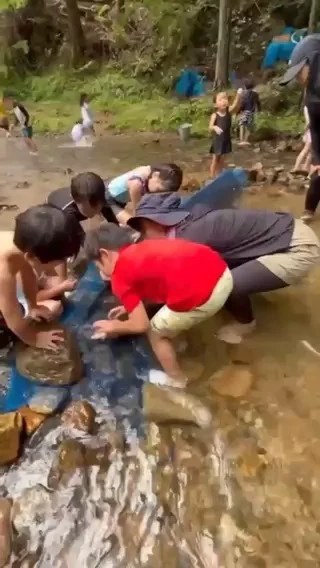 気賀幼稚園（令和8年度よりこども園に移行予定）です。
 
毎年夏に、年長組さんが鳳来町にある『やまびこの丘』へデイキャンプに行きます。
動画は、ニジマスのつかみ取りを体験したときの様子です。
大自然の中で好奇心や探求心を持ち、自分なりに考え、行動に移しています。
また、友だちと声を掛け合い、工夫したり協力したりする姿が見られました。
初めて触る魚の感触。弱っていく魚を見て悲しくなる気持ち。
命を頂くということはこういうこと。
この日の昼食はニジマスでしたが、魚が苦手な子も食べることが出来ました。
自然は子供たちを成長させてくれます。
 
気賀幼稚園は自然豊かな場所にあります。
今後も自然地共に学び、楽しんでいきたいと思います。
 
♯気賀幼稚園
♯幼児期に育てたい10の姿
♯自然とのかかわり・生命尊重
♯協同性
♯豊かな感性と表現
♯子供たちも先生たちも笑顔あふれる幼稚園