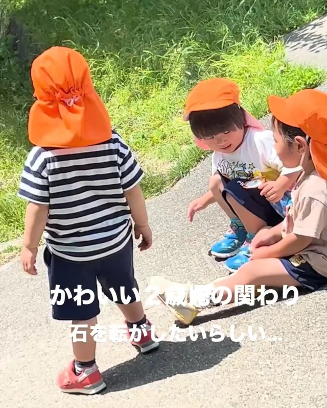 浜松学院大学付属幼稚園です。
当園の満３歳児クラス・たんぽぽ組の子どもたちの様子です。
その世界が本当にかわいくて…。
（５年保育も含め、当園は２歳半から入園可能です！）

石ころが転がることに気が付き、1人の子がやりだすと見ていた子たちもやりたくなった…その石、欲しい！
「かして」って言えない…取ろうとする…無理みたい…さあ、どうする？無理に取って泣かせちゃう？
（これなら2・3歳のよくある、当然の姿…）
でもこの時は違った！！

“自分で見つけよう！”そして、他の子たちも探すことを真似て、今度はそれも嬉しくて楽しくて…ほんの少しだけどお友だちとのかかわりを楽しんでいるみたい…
欲しいと思ったら、取って、取られて、泣かせて、泣いて…もちろんこの場面も茶飯事です。それらも含めて、お友だちから受けるたくさんの刺激が大切な経験となり、“どうしようかな、そうだ！こうしよう！！”　と少しずつ自分で考えて行動できるようになっていくんですよね。
また、様々な素材に触れることで、試したり気づいたり…（砂場の場面より…）

若干、２歳…こんな小さな子どもたちの素敵な世界をこの日も垣間見ることができました。

＃自立心
＃思考力の芽生え